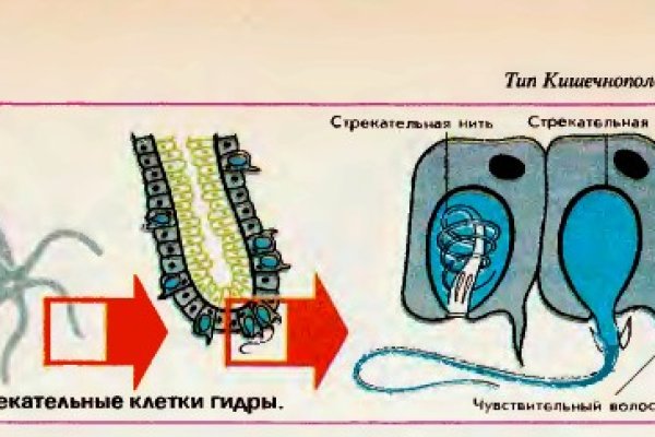 Кракен зарегистрироваться