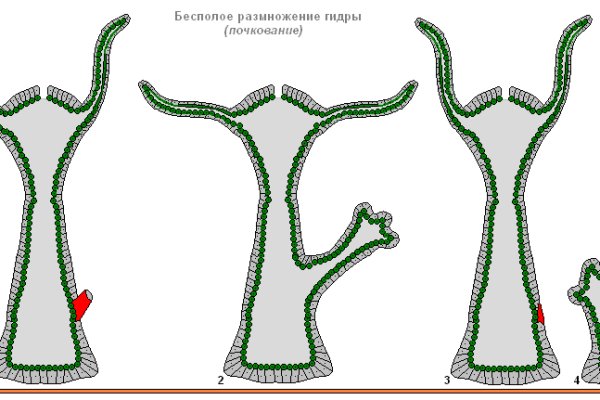 Сайты по продаже наркотиков