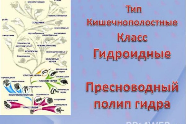 Как пополнять кракен тор