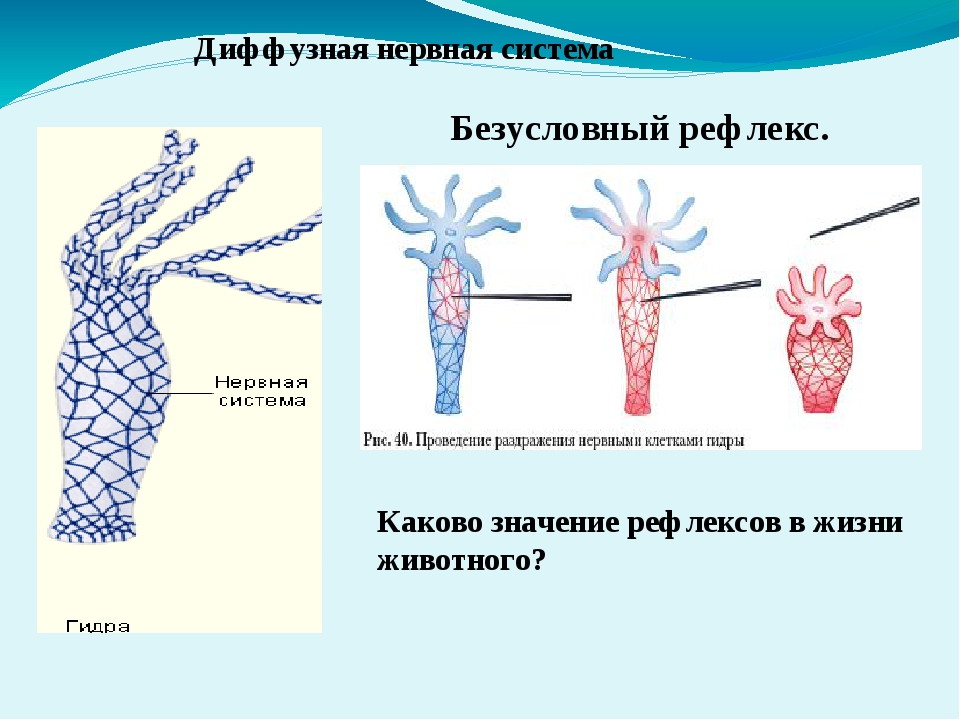 Кракен портал